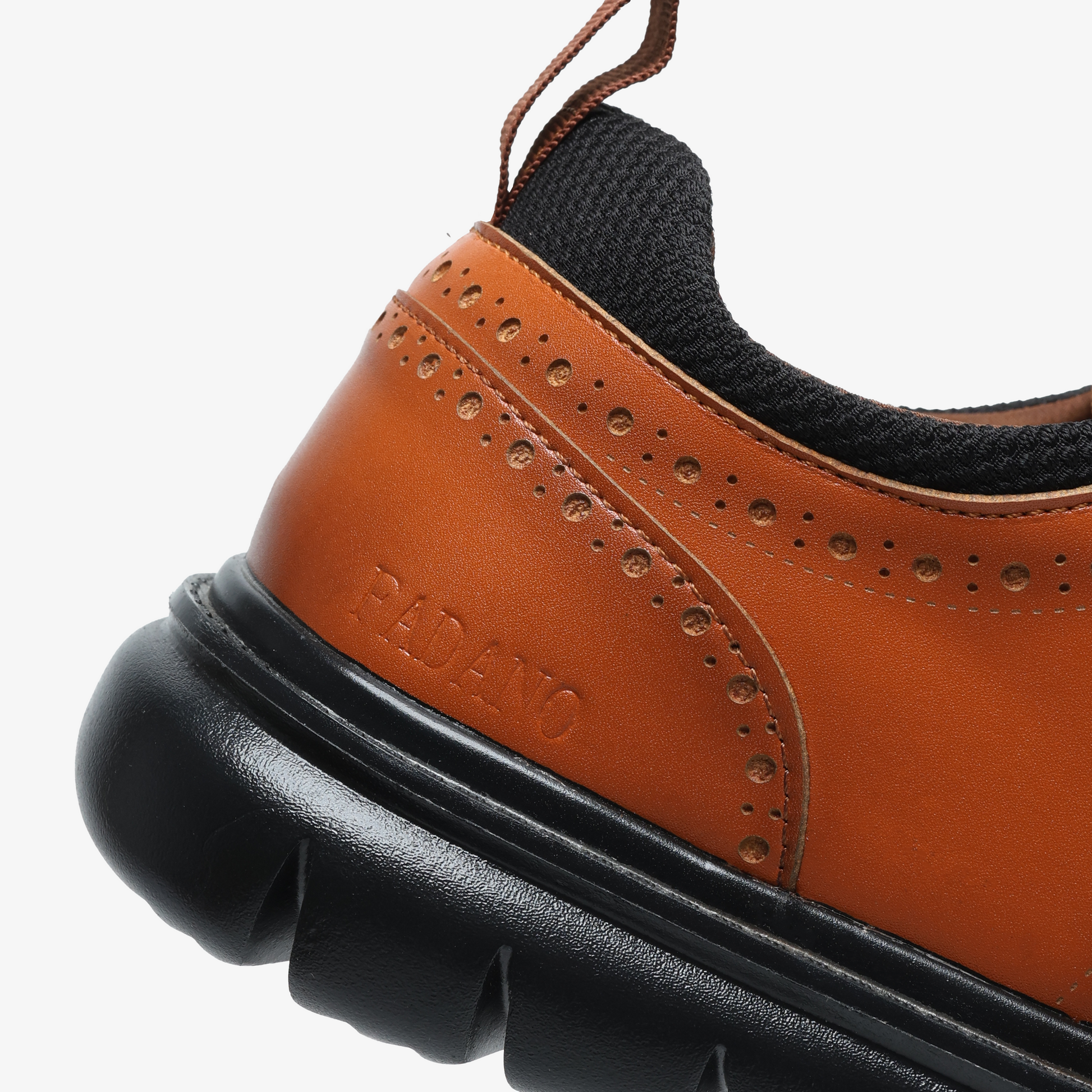 Vanguard - Brown - Fadano