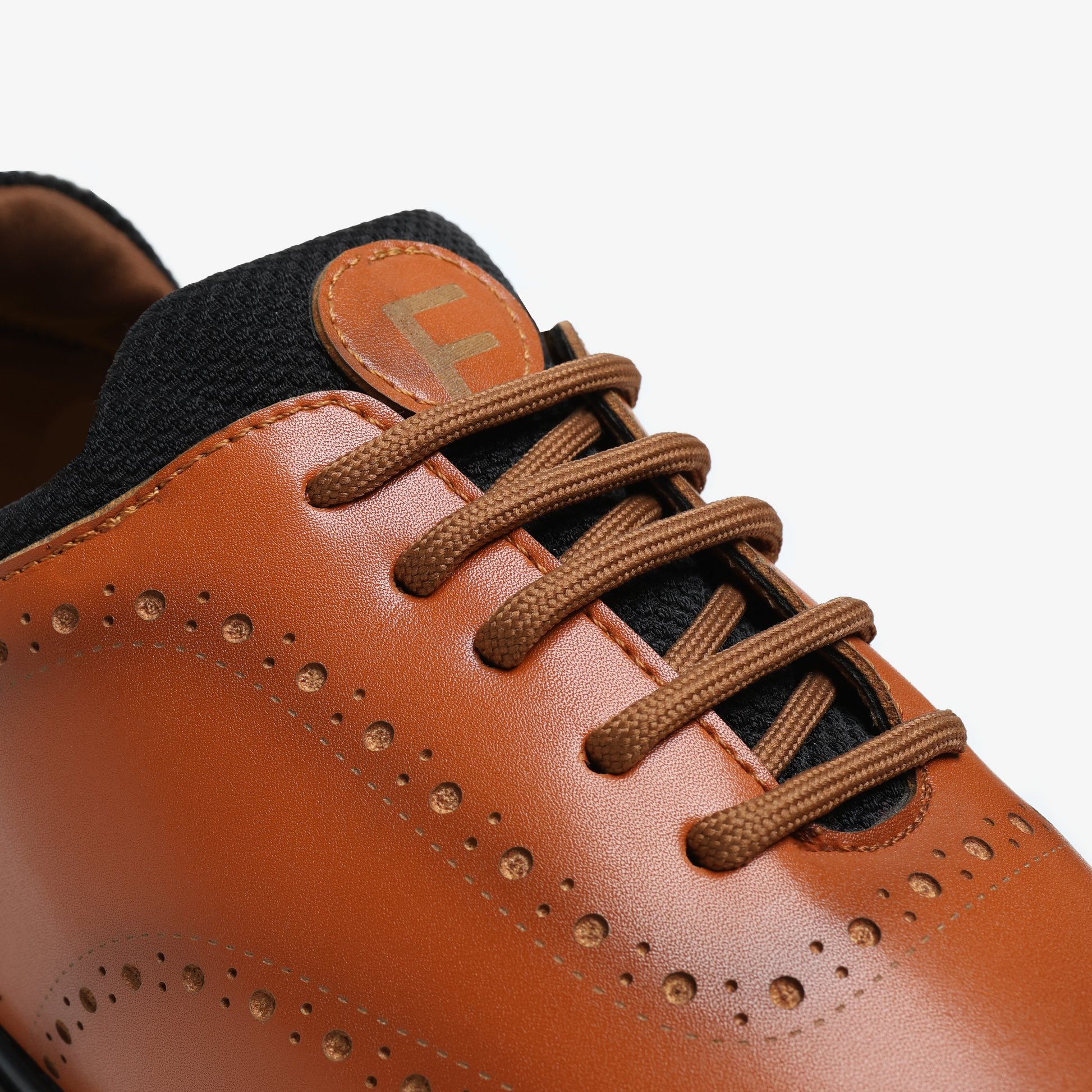 Vanguard - Brown - Fadano